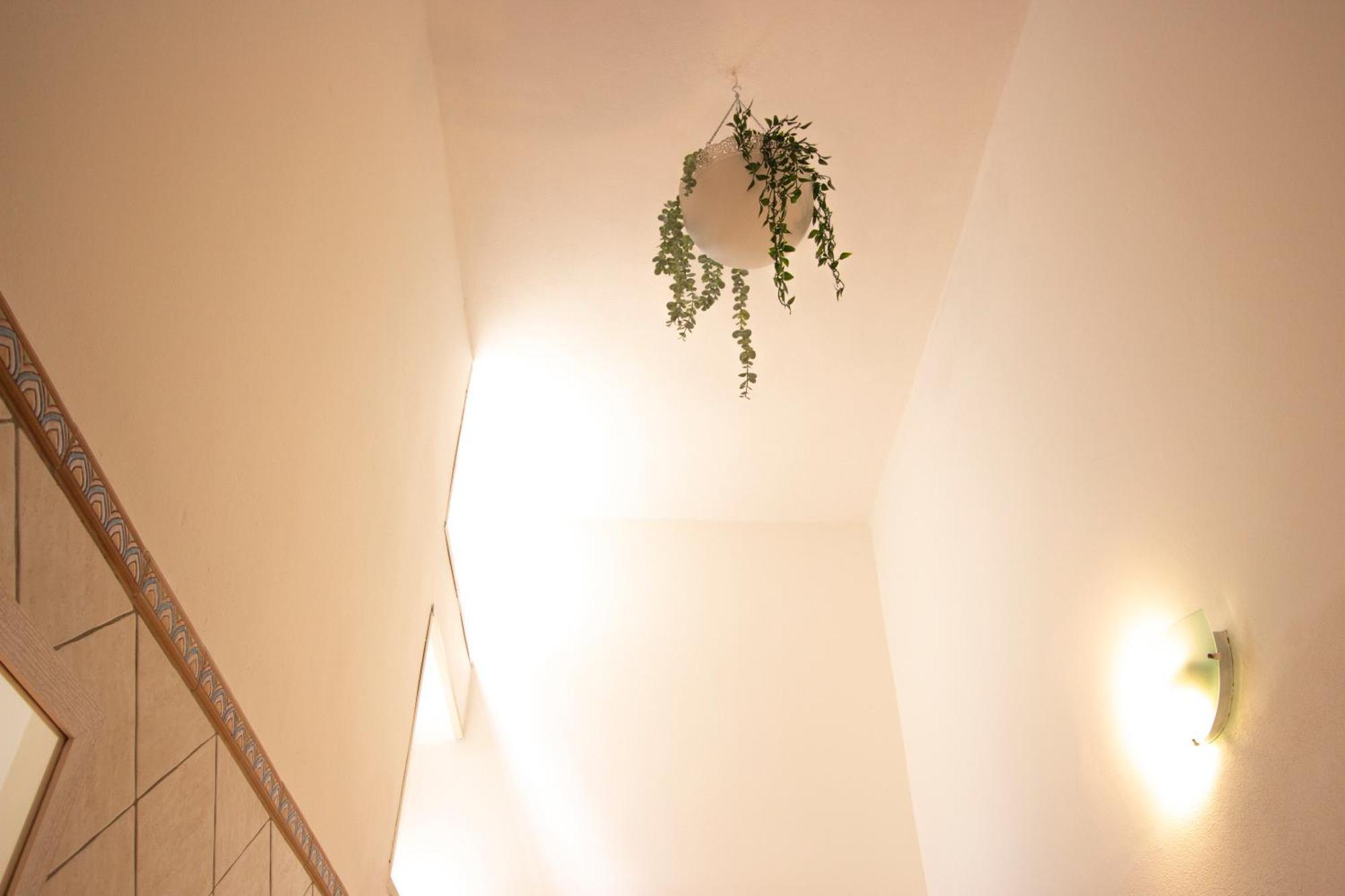 Karyba House Villa LMP Eksteriør bilde